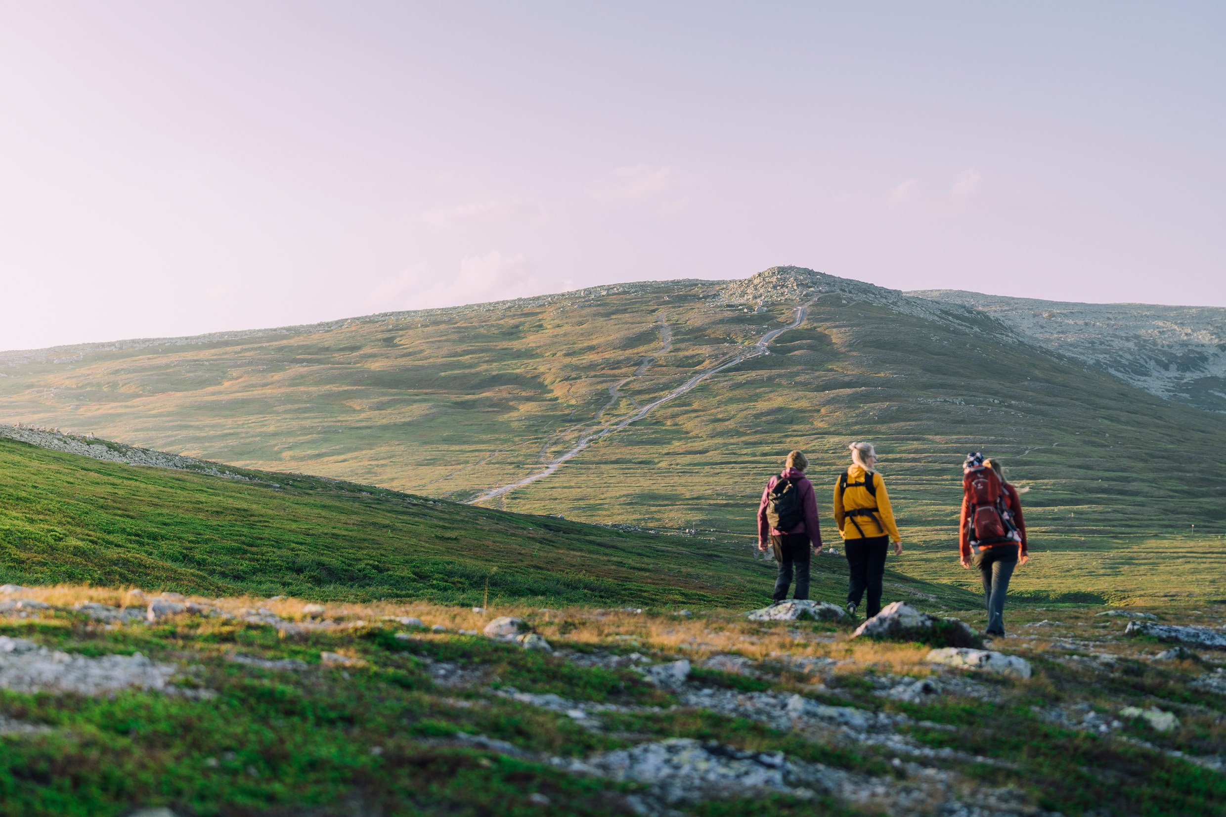 Nipfjället i grönt på sommaren med tre personer på vandring.