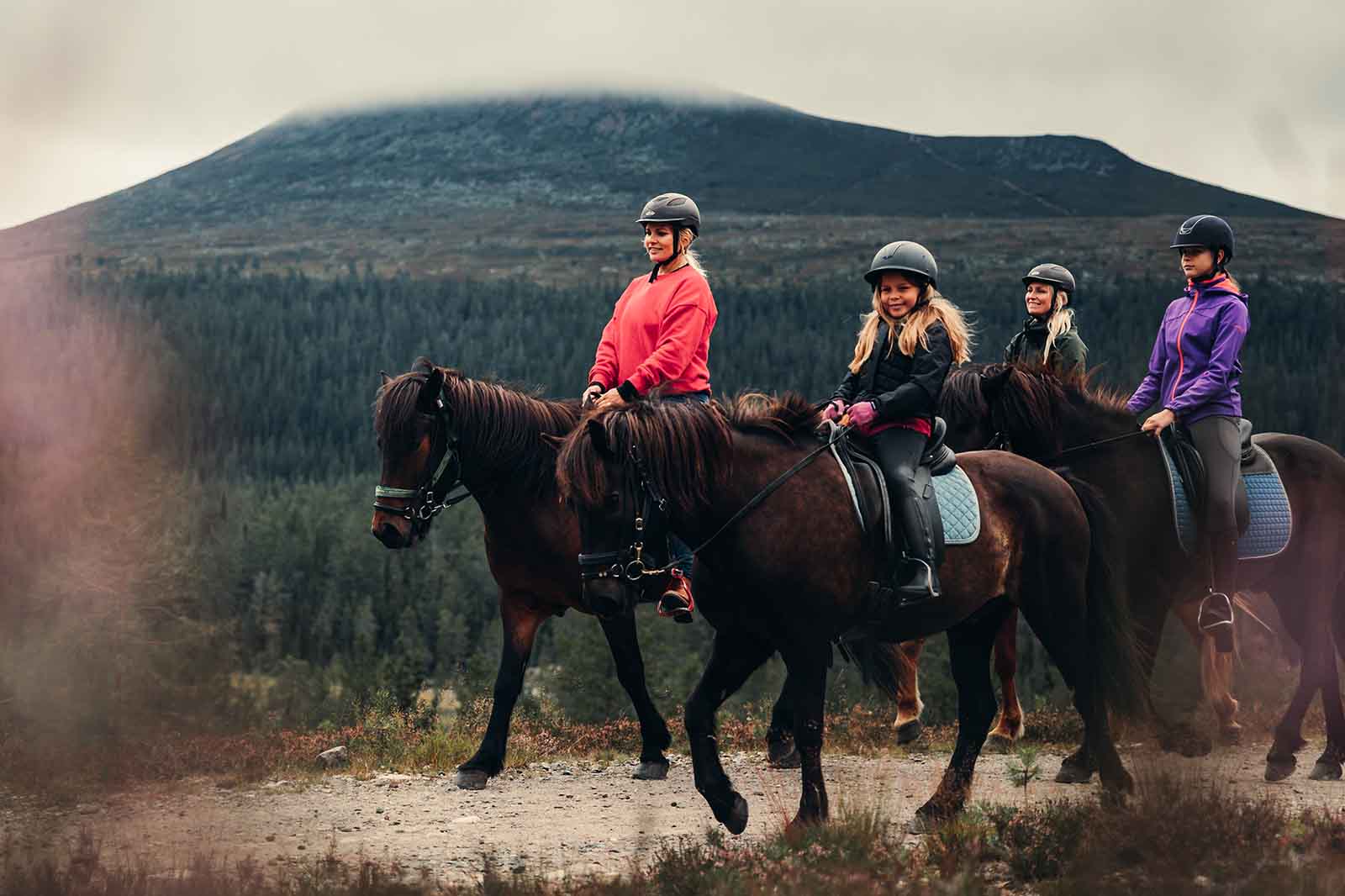 Ryttare på islandshästar som rider över Idre Fjäll.