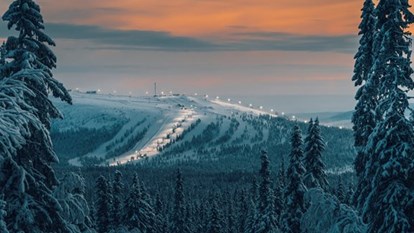 Idre Fjäll på kvällen från långt håll.  Skog i förgrunden.