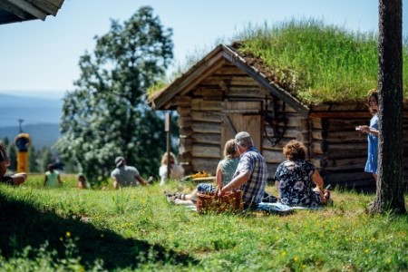 midsommar01940-min.jpg